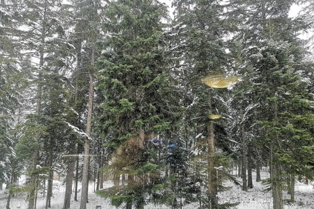 Studio 1 Iceberg Borovets Exterior photo